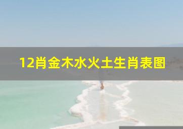 12肖金木水火土生肖表图