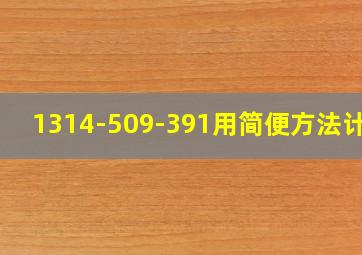 1314-509-391用简便方法计算