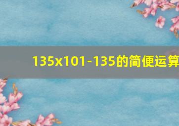 135x101-135的简便运算