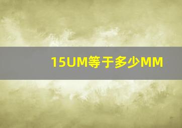 15UM等于多少MM