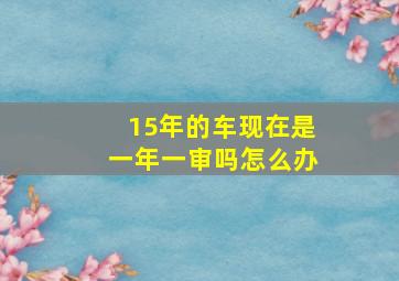 15年的车现在是一年一审吗怎么办