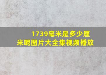 1739毫米是多少厘米呢图片大全集视频播放