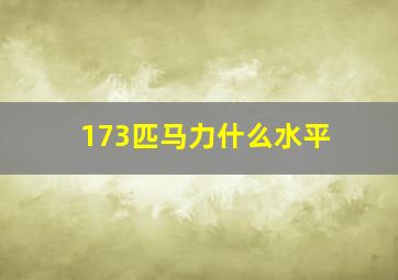 173匹马力什么水平