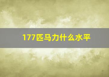 177匹马力什么水平