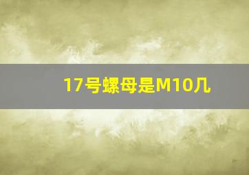 17号螺母是M10几