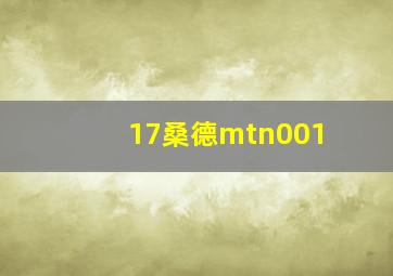 17桑德mtn001