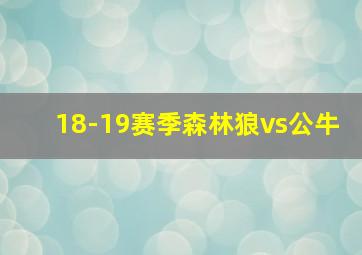 18-19赛季森林狼vs公牛