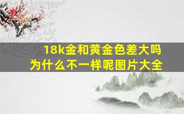 18k金和黄金色差大吗为什么不一样呢图片大全