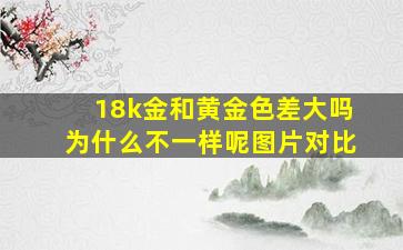 18k金和黄金色差大吗为什么不一样呢图片对比