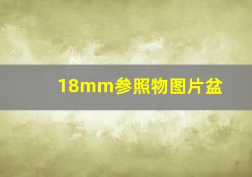 18mm参照物图片盆