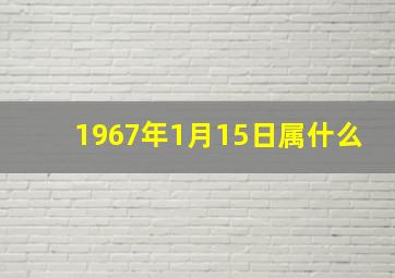 1967年1月15日属什么