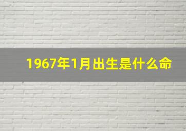 1967年1月出生是什么命