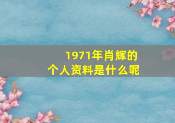 1971年肖辉的个人资料是什么呢