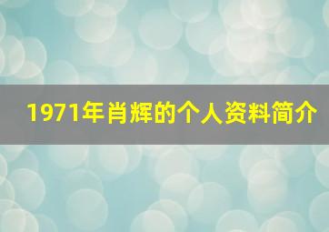 1971年肖辉的个人资料简介