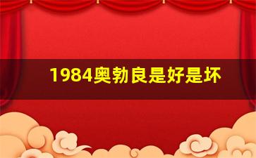 1984奥勃良是好是坏