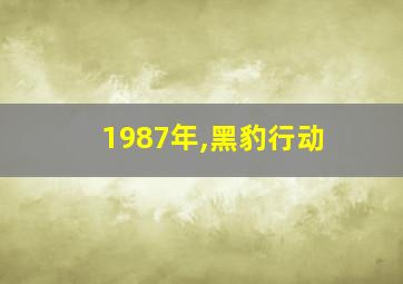 1987年,黑豹行动