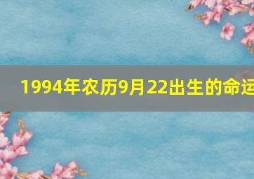 1994年农历9月22出生的命运