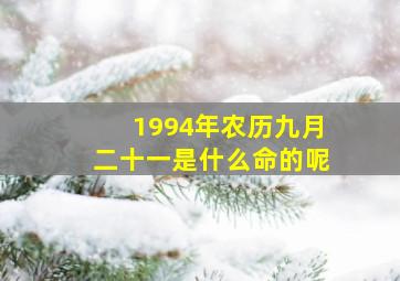 1994年农历九月二十一是什么命的呢