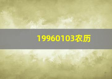 19960103农历