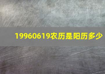 19960619农历是阳历多少