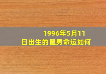 1996年5月11日出生的鼠男命运如何