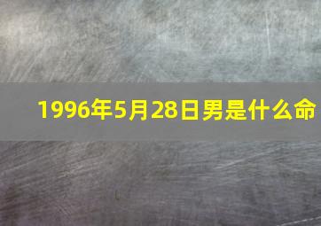 1996年5月28日男是什么命