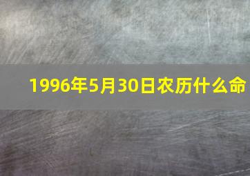 1996年5月30日农历什么命