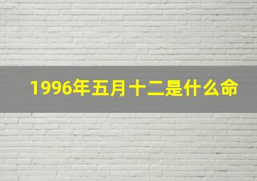 1996年五月十二是什么命