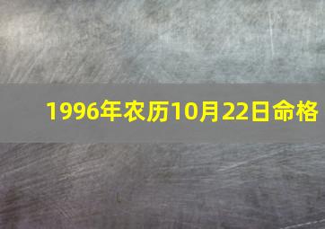 1996年农历10月22日命格