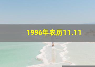 1996年农历11.11