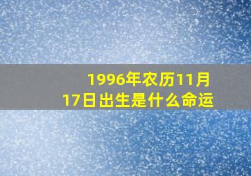 1996年农历11月17日出生是什么命运