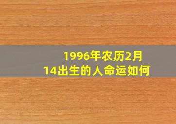 1996年农历2月14出生的人命运如何