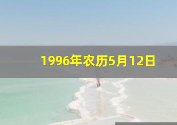 1996年农历5月12日