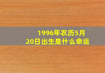 1996年农历5月20日出生是什么命运