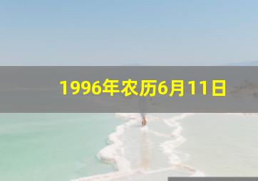 1996年农历6月11日