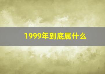 1999年到底属什么