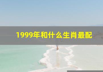 1999年和什么生肖最配