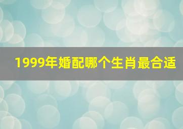 1999年婚配哪个生肖最合适