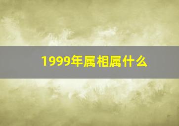 1999年属相属什么