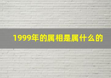 1999年的属相是属什么的