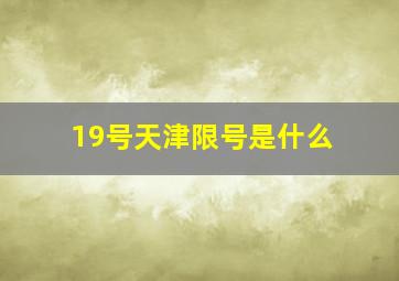 19号天津限号是什么