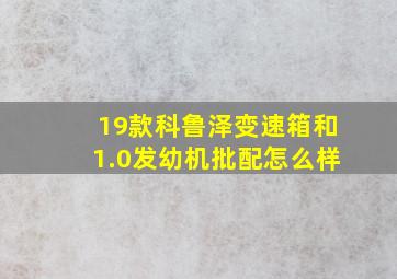 19款科鲁泽变速箱和1.0发幼机批配怎么样