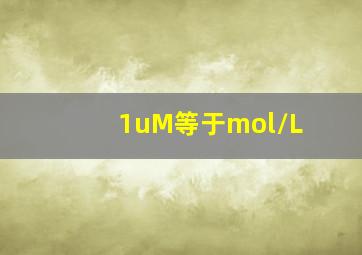 1uM等于mol/L