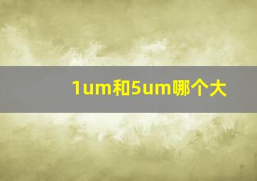 1um和5um哪个大