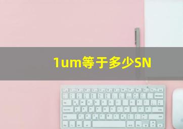 1um等于多少SN