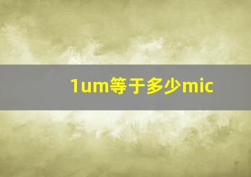 1um等于多少mic