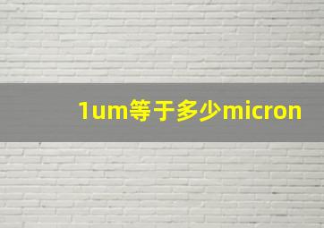 1um等于多少micron