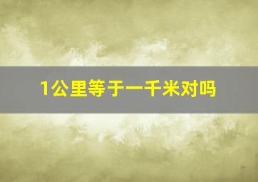 1公里等于一千米对吗