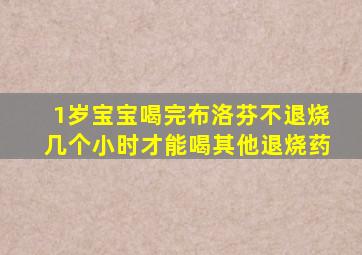 1岁宝宝喝完布洛芬不退烧几个小时才能喝其他退烧药