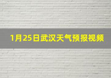 1月25日武汉天气预报视频